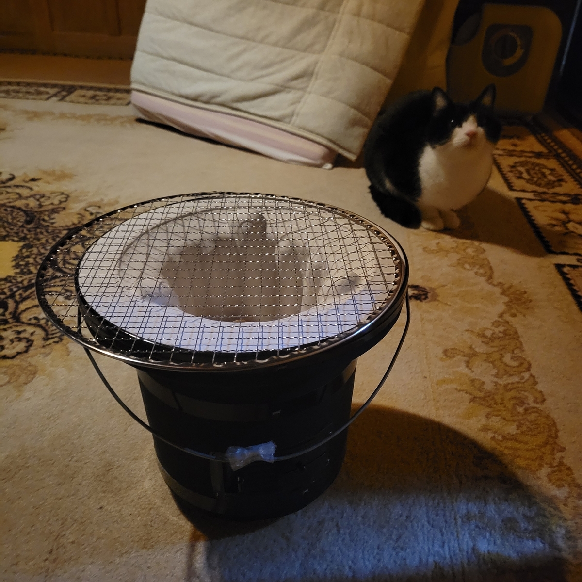 1月 猫と古民家 机下は昔の掘りごたつ？ 囲炉裏憧れとりあえず七輪を 