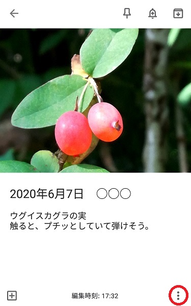 f:id:muu8san:20201003181337j:plain f:id:muu8san:20201003181337j:plain