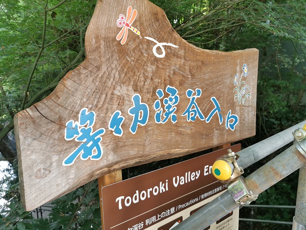 f:id:muu8san:20201105181730j:plain