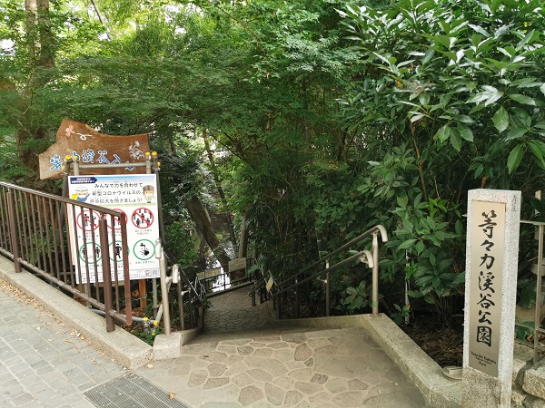 f:id:muu8san:20201105181837j:plain