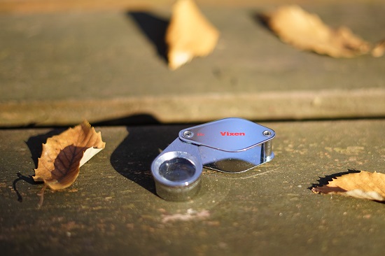 f:id:muu8san:20201228172227j:plain