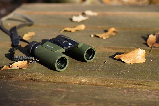 f:id:muu8san:20201228172244j:plain