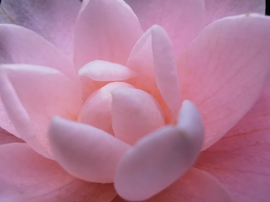f:id:muu8san:20210212152050j:plain