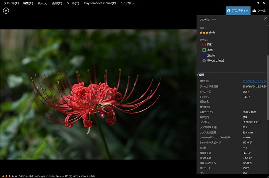 f:id:muu8san:20210627112254j:plain