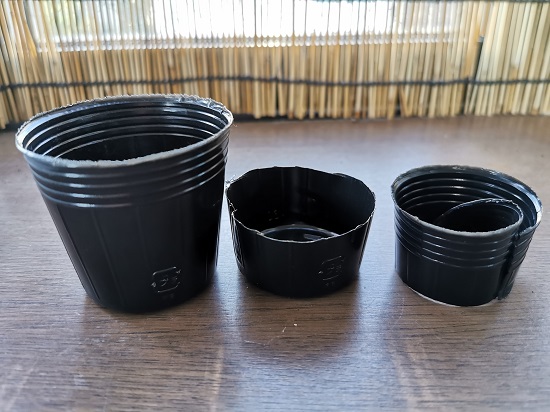 f:id:muu8san:20210723181638j:plain