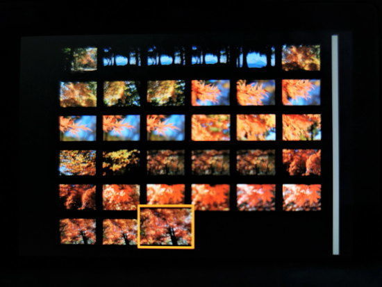 EOS RPの液晶モニター