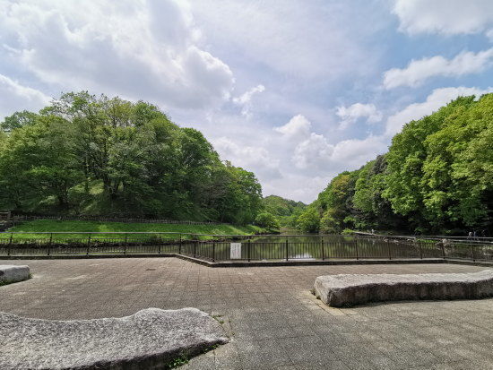 神奈川県立 四季の森公園の池