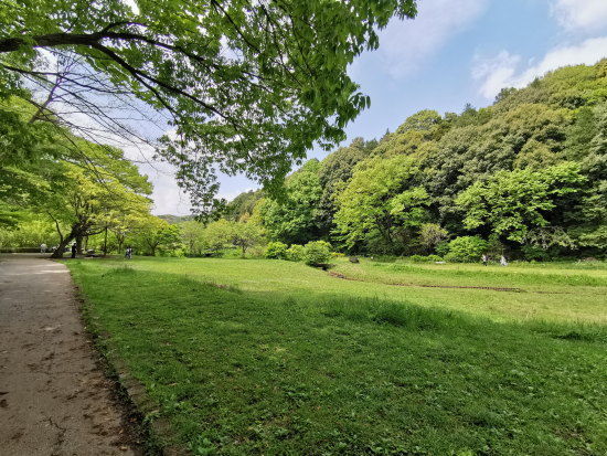 神奈川県立 四季の森公園の芝生広場