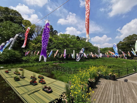 里山ガーデンへの橋にも鯉のぼりが