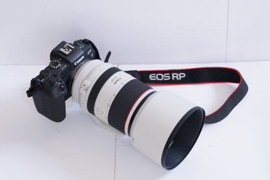 RF70-200mm F2.8 L IS USM レビュー2】RF 70200 F2.8！キヤノン 大三