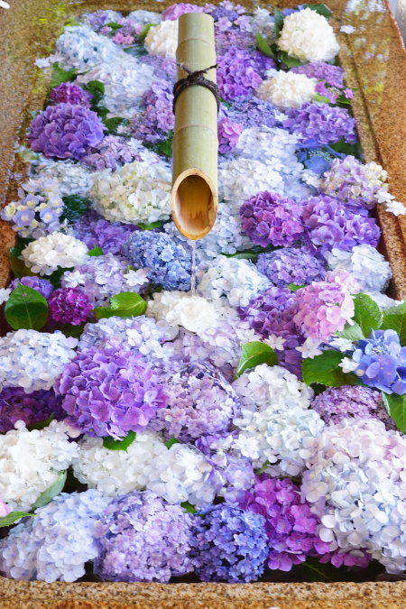 鶴岡八幡宮の花手水