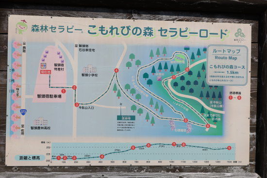 智頭町 こもれびの森コース