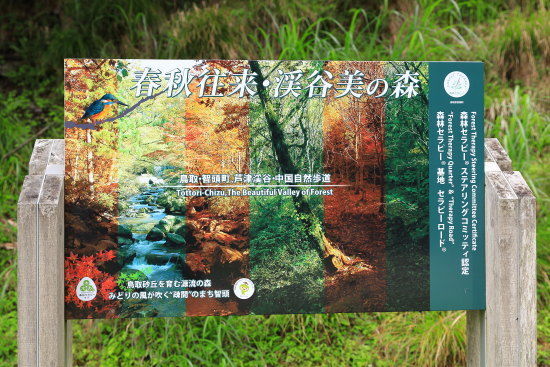 芦津渓谷は紅葉の名所