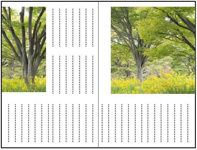 PDFの電子書籍のACROBATの設定前