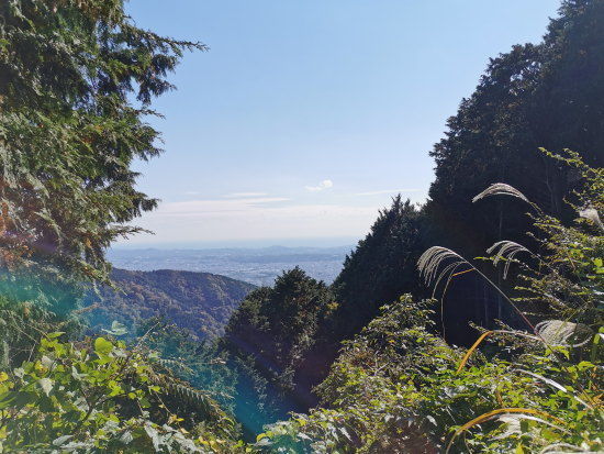 秦野市内を一望（見晴茶屋より）