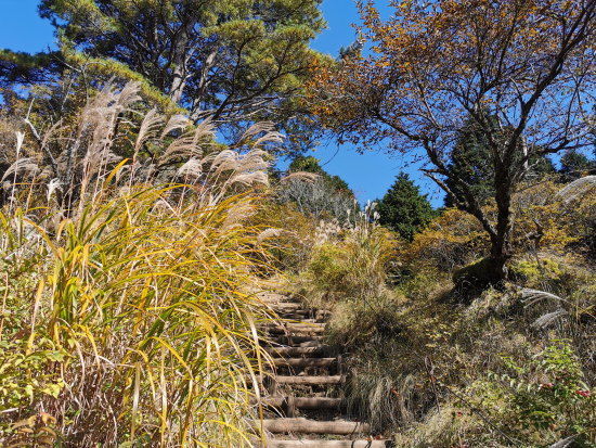 小草平への最後の登り