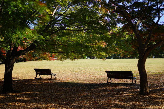 人のいないベンチの風景