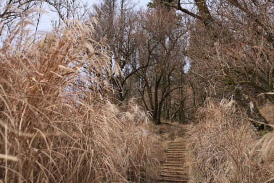 二ノ塔から三ノ塔への登山道