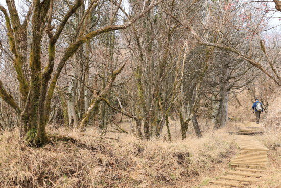 二ノ塔から三ノ塔への登山道２