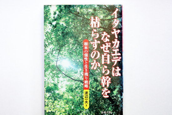 イタヤカエデはなぜ自ら幹を枯らすのか　渡辺一夫著