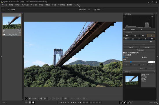 CANON DPP(Digital Photo Professional)のゴミ除去