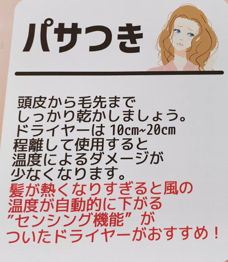 髪の毛 パサつき