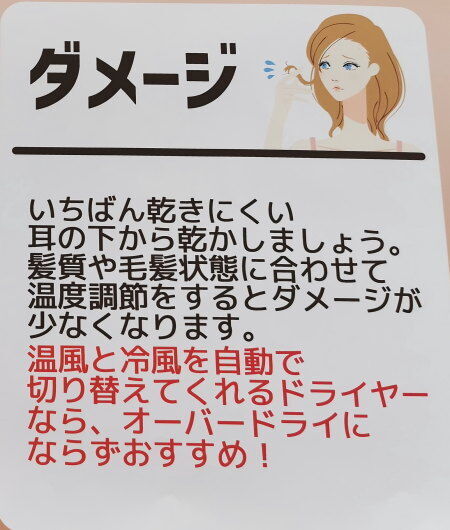 髪の毛 ダメージ