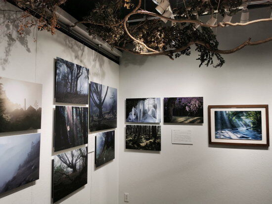 写真家・瀬尾拓慶のギャラリー・グリーム『第1回ネイチャーフォトコンテスト』 最優秀賞と優秀賞