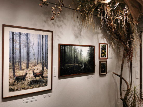 瀬尾拓慶さんの作品