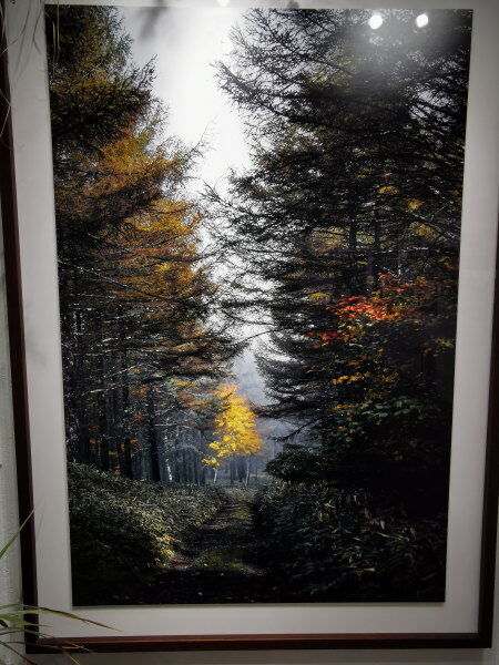 瀬尾拓慶さんの作品