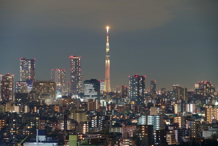 スカイツリーの夜景（練馬区役所で撮影）