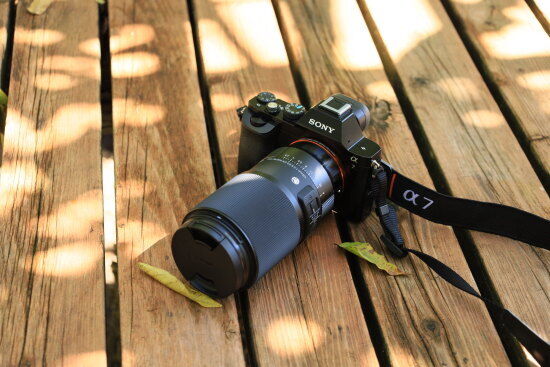 SONY α7とシグマ 105mm F2.8 DGDN MACRO ART