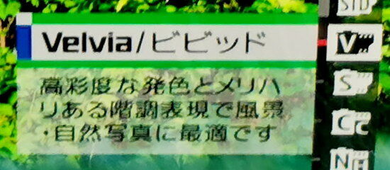 Velvia:ビビッド