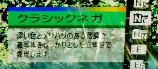 クラシックネガ