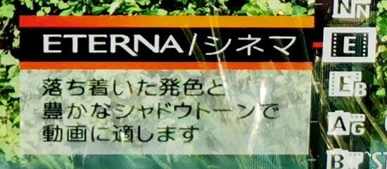 ETERNA:シネマ