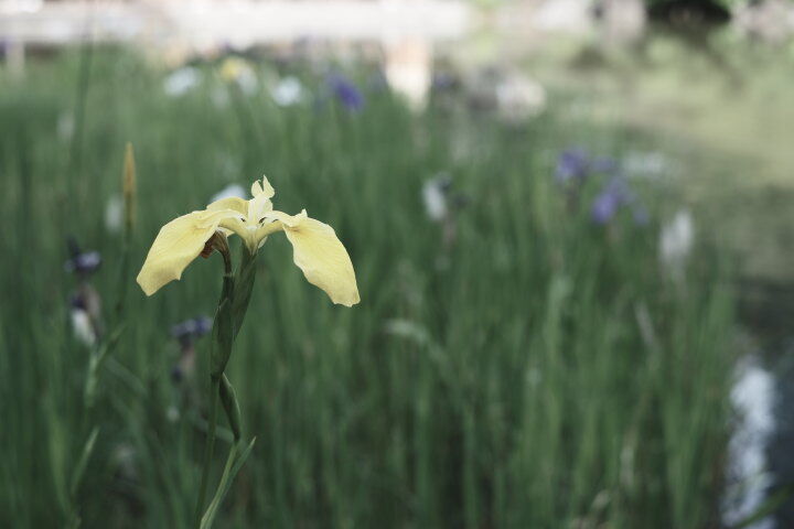 ETERNA ブリーチバイパス