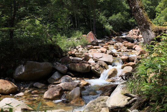 登山道の脇の沢