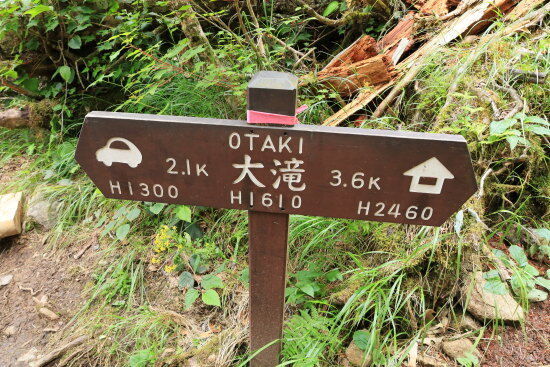 大滝：あと850ｍ登ります