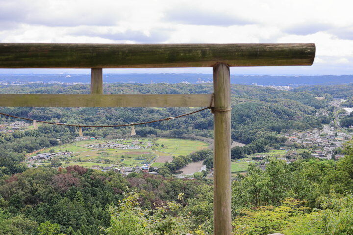 金刀比羅神社からの巾着田の全景