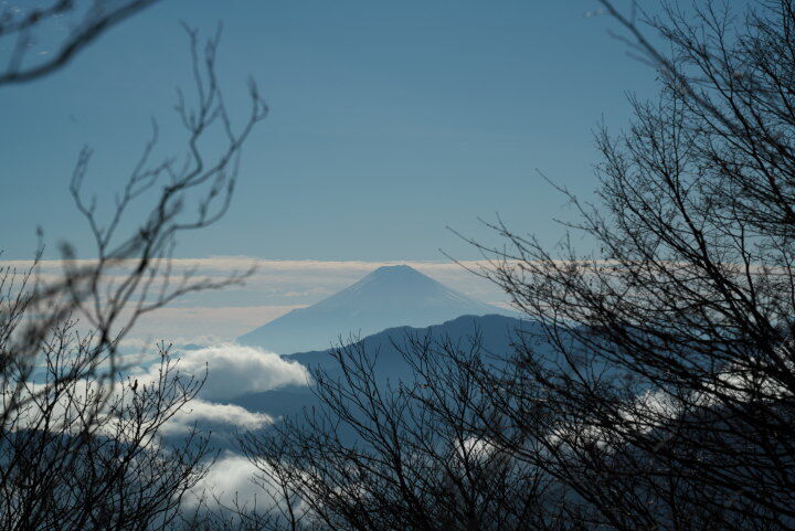 富士山（川苔山の山頂で撮影）