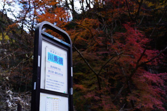 登山口：川乗橋バス停