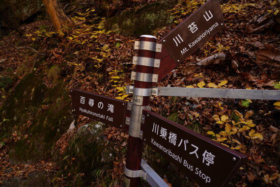 川苔山を指す角度が登りのキツさを表わしている