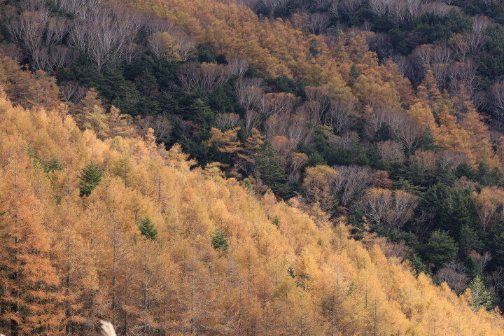 櫛形山の山肌の景色　もっと高解像度にしたい！