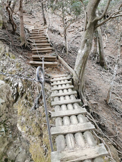 アスレチック感のある登山道