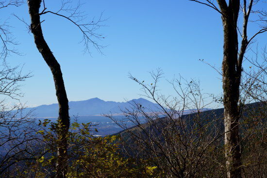 ふたこぶある特徴的な愛鷹山