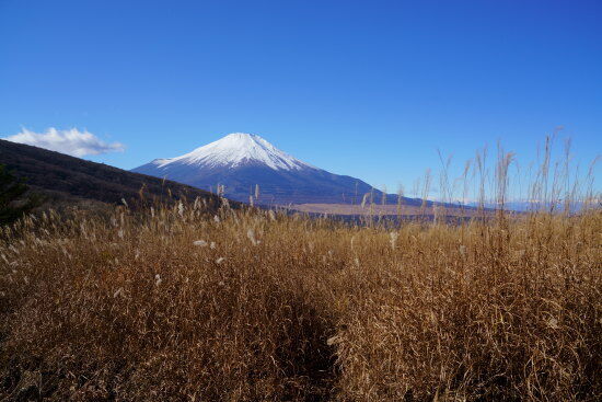 富士山！
