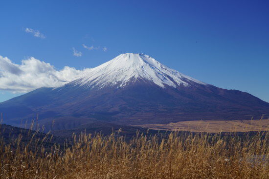 富士山！