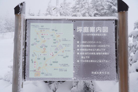 坪庭の案内板も白くなっています