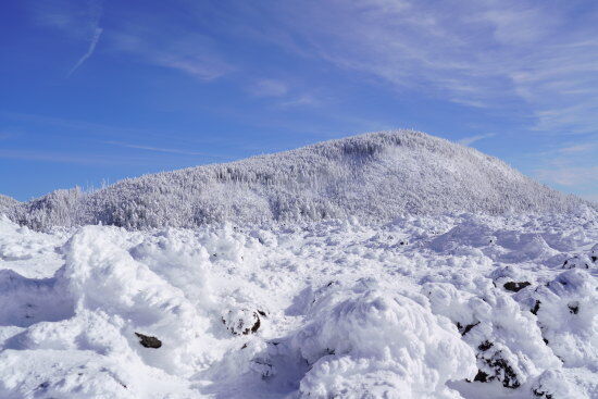 途中の坪庭から見た縞枯山？
