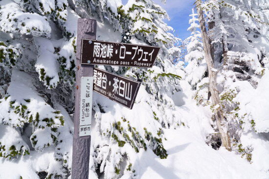 縞枯山山頂